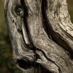 Galería 51 _MG_0209