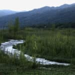 Galería 45 _MG_0632