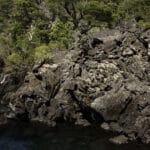 Galería 53 _MG_9707